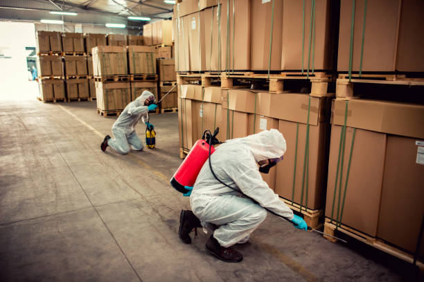  Salina, OK Pest Control Pros