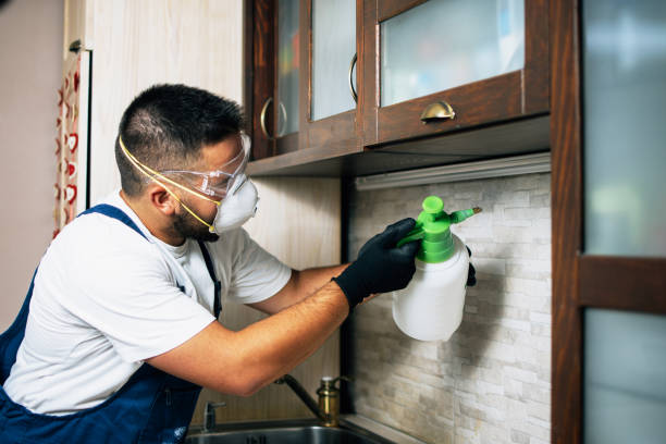 Best Best Pest Control Companies  in Salina, OK
