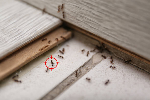 Best Pest Control Cost  in Salina, OK