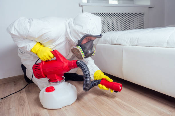 Best Affordable Pest Control Services  in Salina, OK