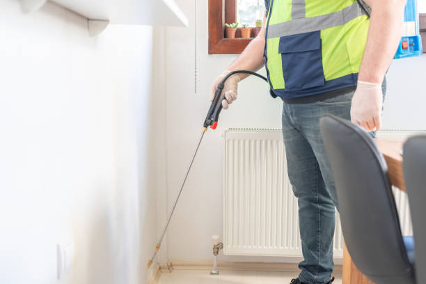 Best Flea Control Services  in Salina, OK