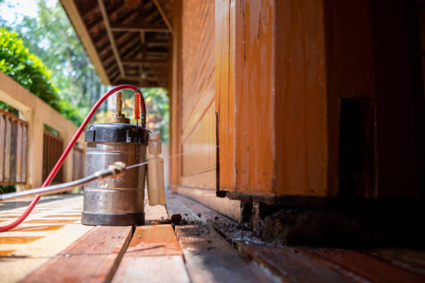 Best Ant Control Services  in Salina, OK