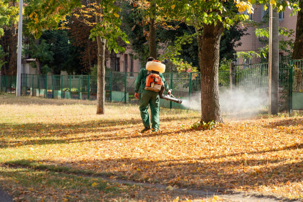 Wildlife Control Services in Salina, OK