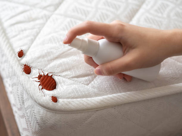 Best Cockroach Control Services  in Salina, OK