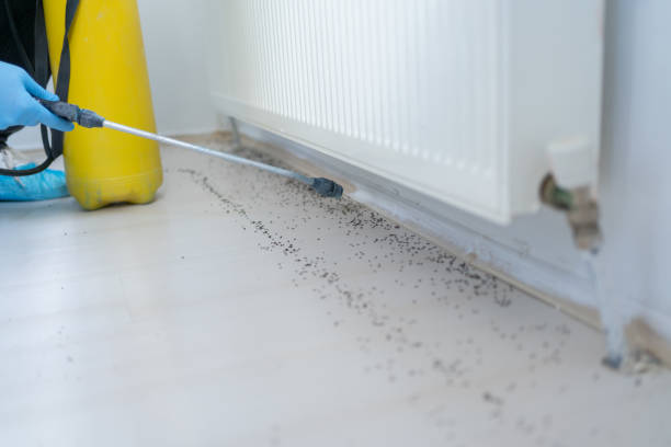 Best Pest Control Near Me  in Salina, OK