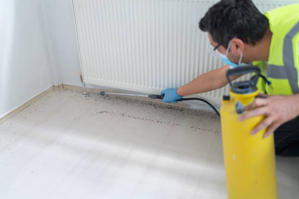 Best Pest Prevention Services  in Salina, OK