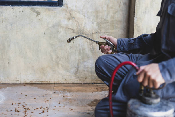 Best Emergency Pest Control  in Salina, OK